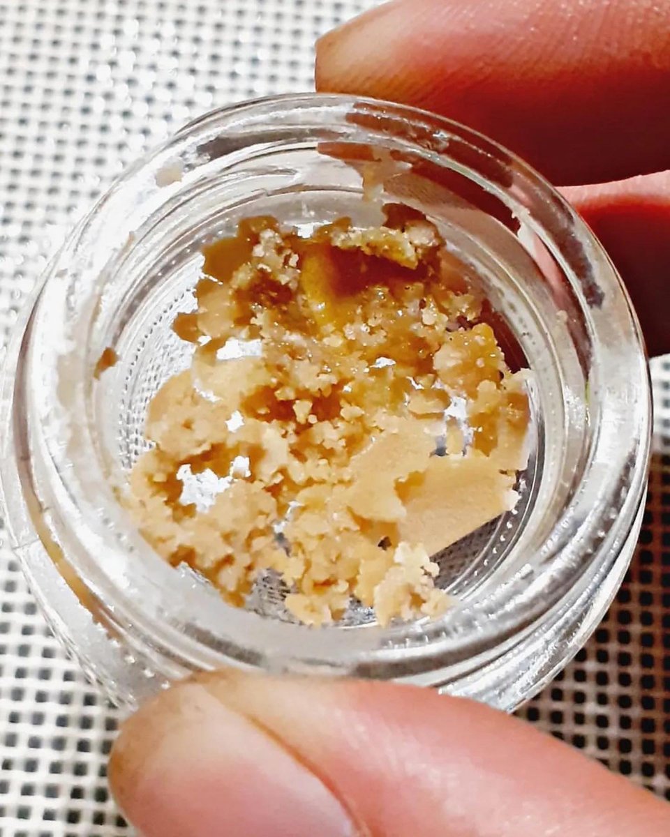 PhiloSeeds's tweet photo. 🍋 Lemon OG Candy 🍭 Live Rosin 73u 159u. Grown and extracted by @ frenchiesgrowing2.0 🌱
#thcextract #liverosin #solventless

https://t.co/XFIXnqPwZm https://t.co/ttNemz2PPB