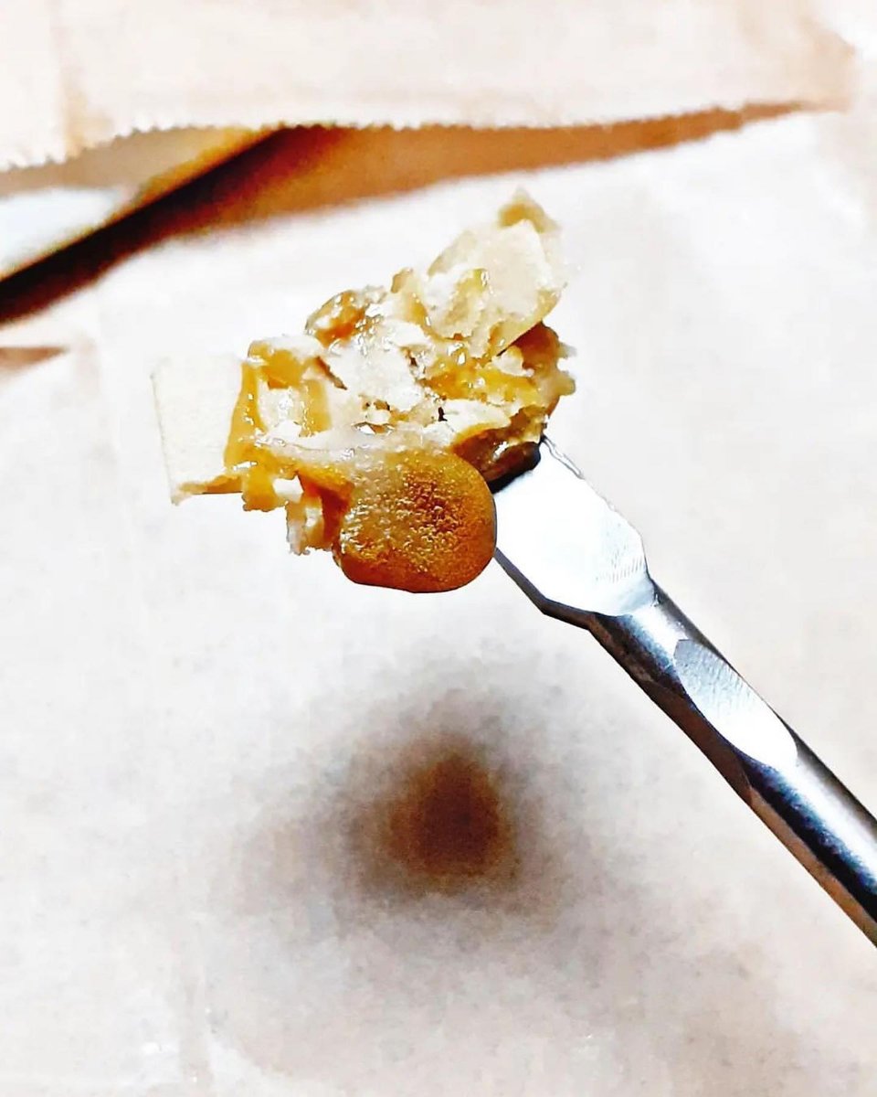PhiloSeeds's tweet photo. 🍋 Lemon OG Candy 🍭 Live Rosin 73u 159u. Grown and extracted by @ frenchiesgrowing2.0 🌱
#thcextract #liverosin #solventless

https://t.co/XFIXnqPwZm https://t.co/ttNemz2PPB