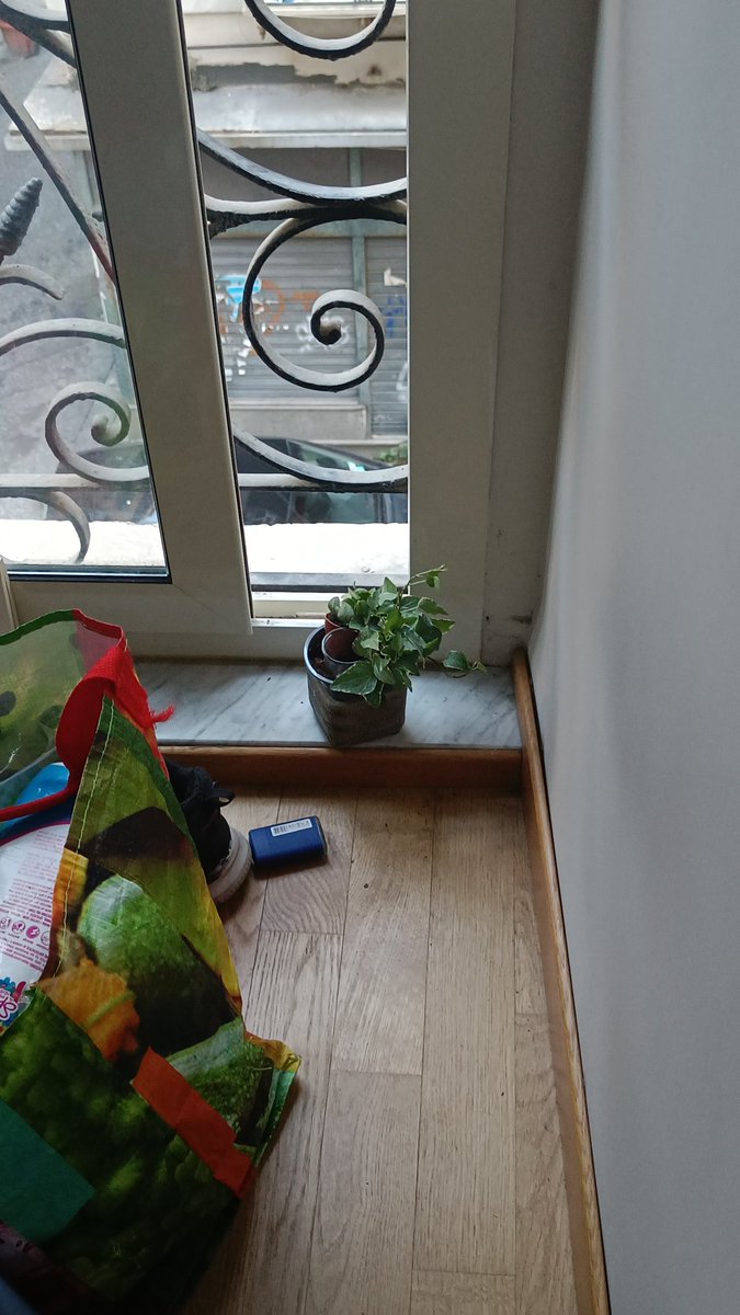 Melchise47's tweet photo. Teemoo.. 🦆
-
;
#Timo #ProudPlantDad #Crypto https://t.co/WqDgMOEn2N