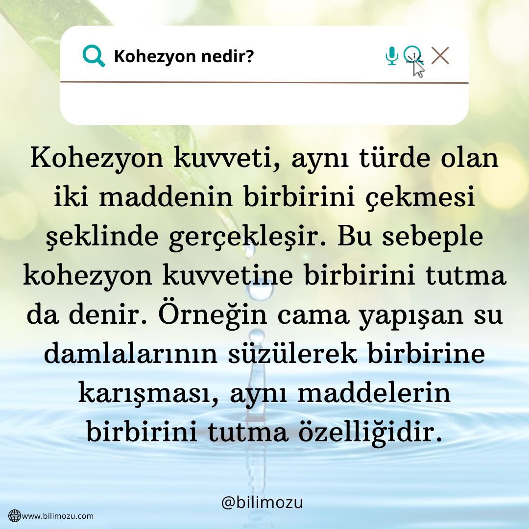 Kohezyon Nedir?