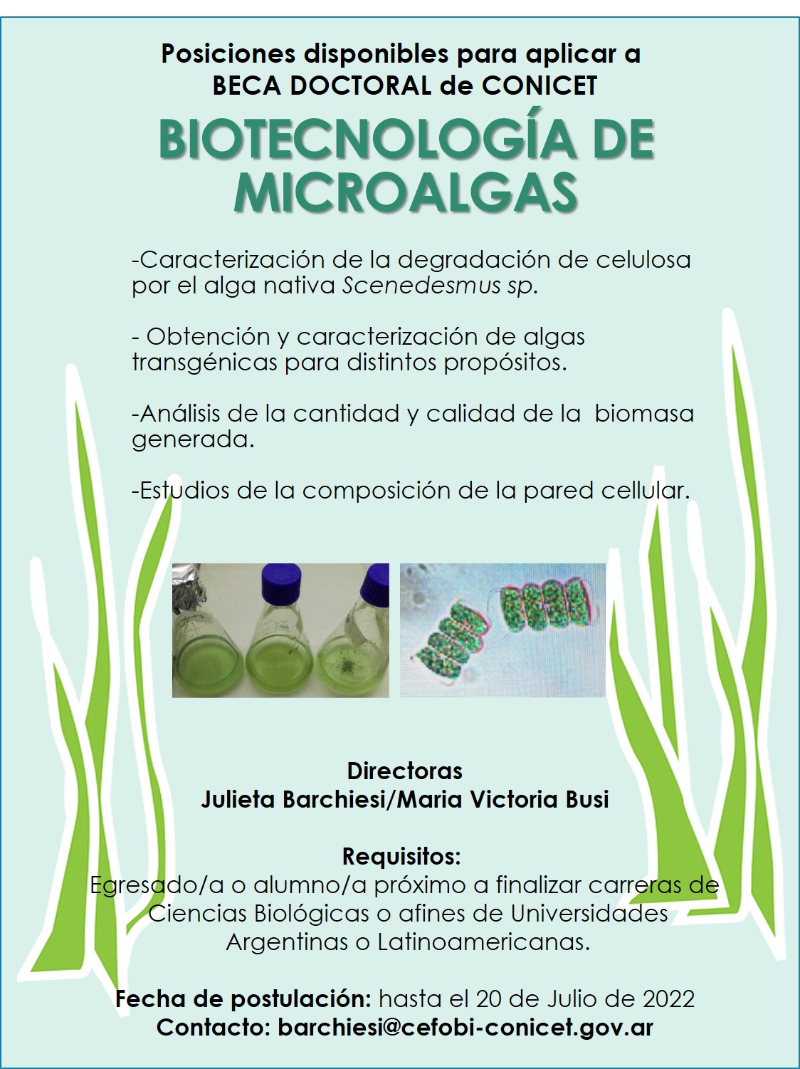 Biocatalysis and Sustainable Processes Group (AndProcesses) / Twitter