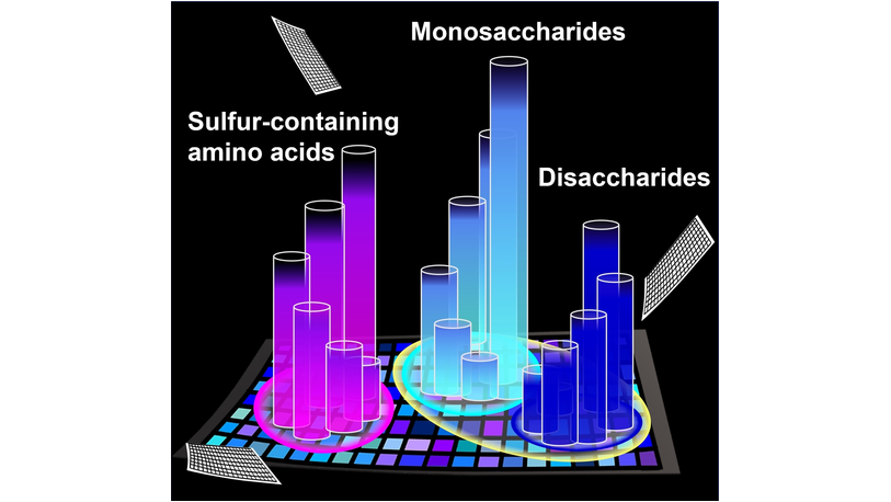 ACES_Journals's tweet photo. Tsuyoshi Minami et al. developed a paper-based fluorescent chemosensor array system for food analysis. #PatternRecognition #LinearDiscriminantAnalysis @UTokyo_News_en https://t.co/EoffAEtddk https://t.co/oGkvRooRR2