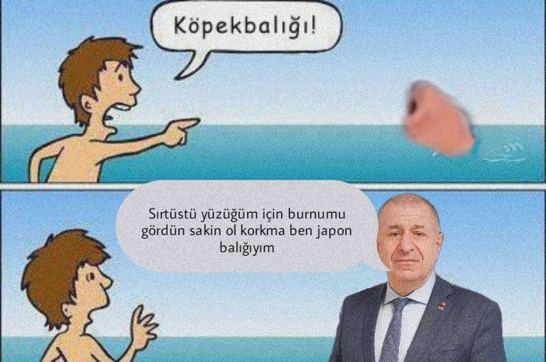 antizafer's tweet photo. Sizce Ümit Özdağ köpek balığı mı yoksa Japon balığı mı? https://t.co/TS3F0OrhfT
