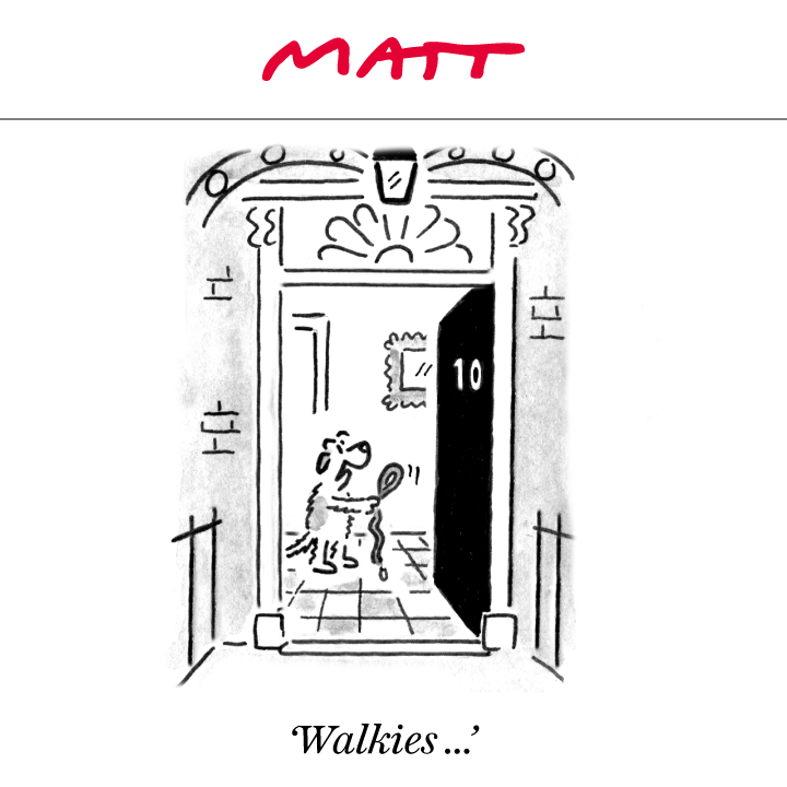 Matt Cartoons tweet media