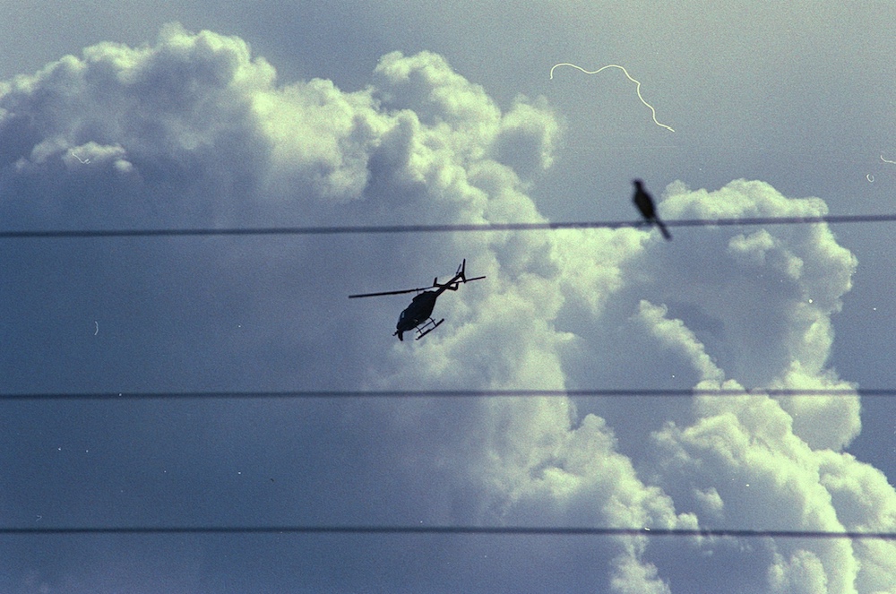 ownzee's tweet photo. Bird chopper #filmphotography #fujifilm #Superia X-TRA 400 https://t.co/HdncU45LfT https://t.co/KZ49tf9QGb
