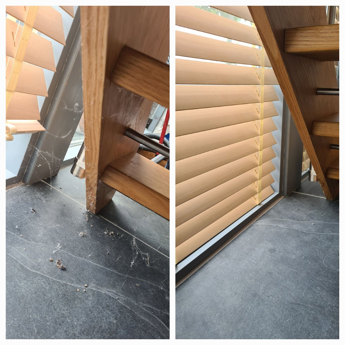 DFL_Dust_Free's tweet photo. It's been a hard week so far, deep cleans seem to be en vogue at the moment #summer #cornwall #cleaning #changeover https://t.co/aD4HQ3WGfG