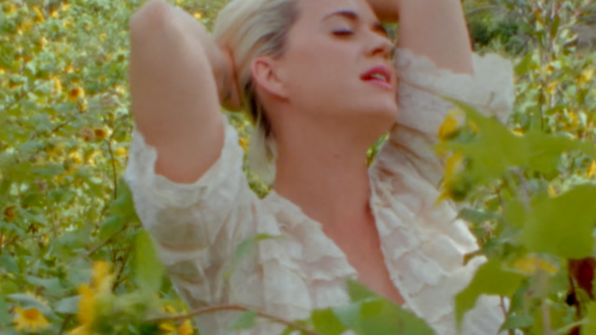 📂 on Twitter "daisies by katy perry https//t.co/Kwvcy3IPNC" / Twitter