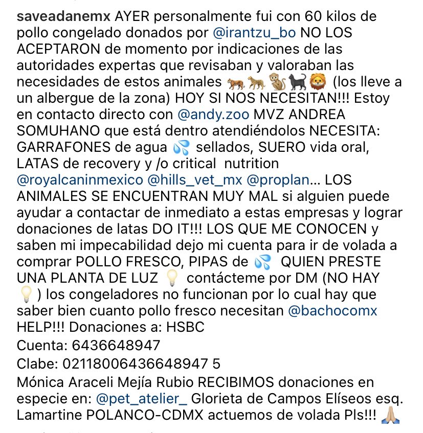 unna_chilanga's tweet photo. Les dejo esta información. Esta chava es 1000% confianza, con ella adopté a mi perra. Por favor, los animalitos nos necesitan. Tenemos que donar. Contáctenla.  🦁 🐯 https://t.co/PQnK6gQvjY