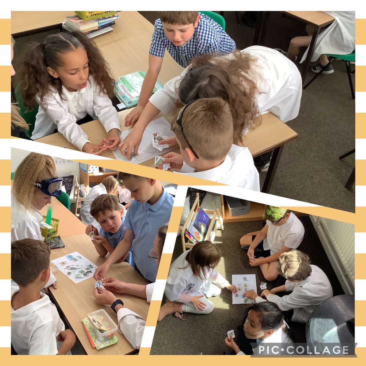 Miss_Jacobs_'s tweet photo. Super scientists hard at work 🥼🧪👩‍🔬👨‍🔬🔬 @BramleyJunior @bramleyjuniorY3 #bsjscience https://t.co/CEmyJinn1Q