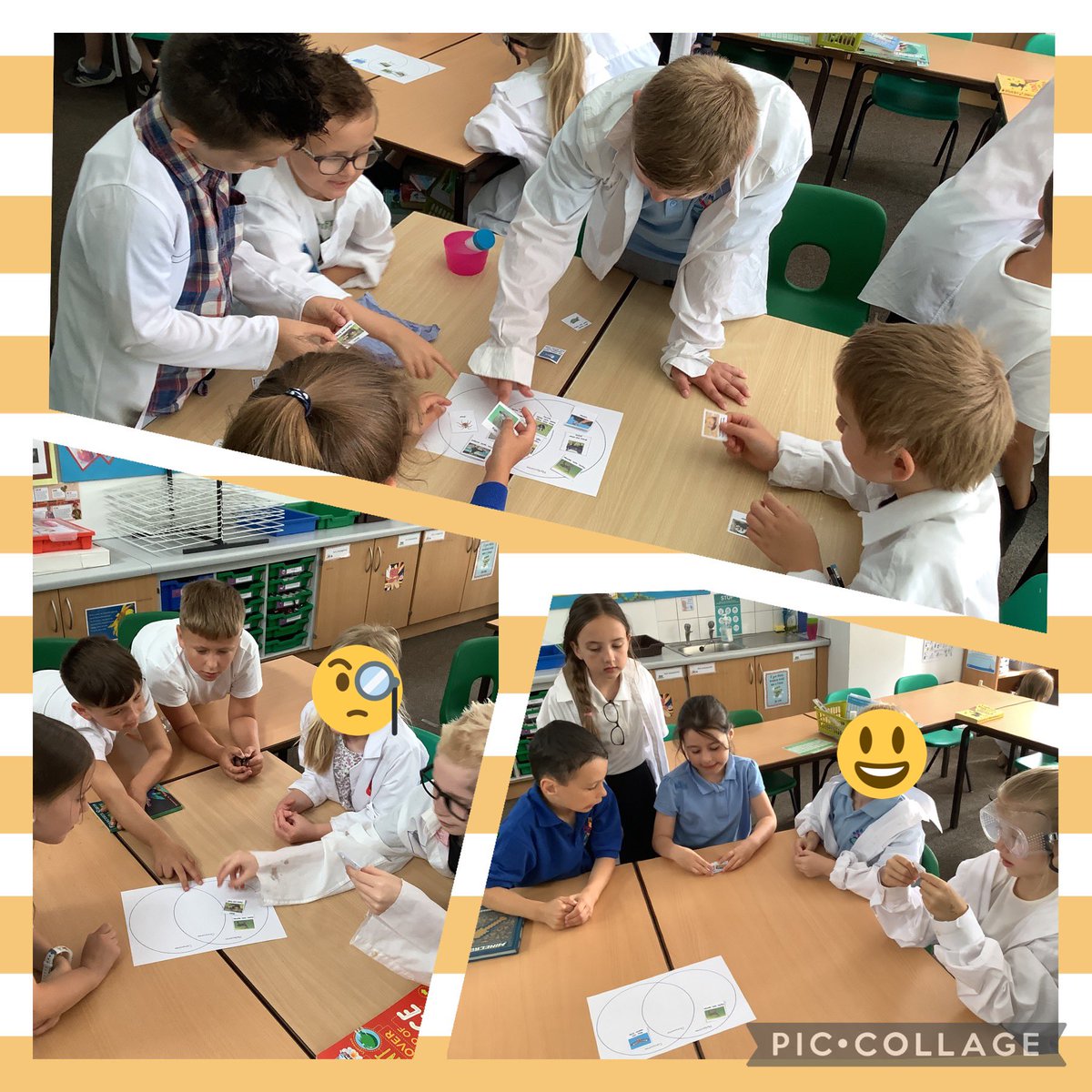 Miss_Jacobs_'s tweet photo. Super scientists hard at work 🥼🧪👩‍🔬👨‍🔬🔬 @BramleyJunior @bramleyjuniorY3 #bsjscience https://t.co/CEmyJinn1Q