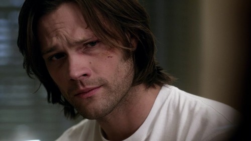 Brianna Tibbetts tweet media