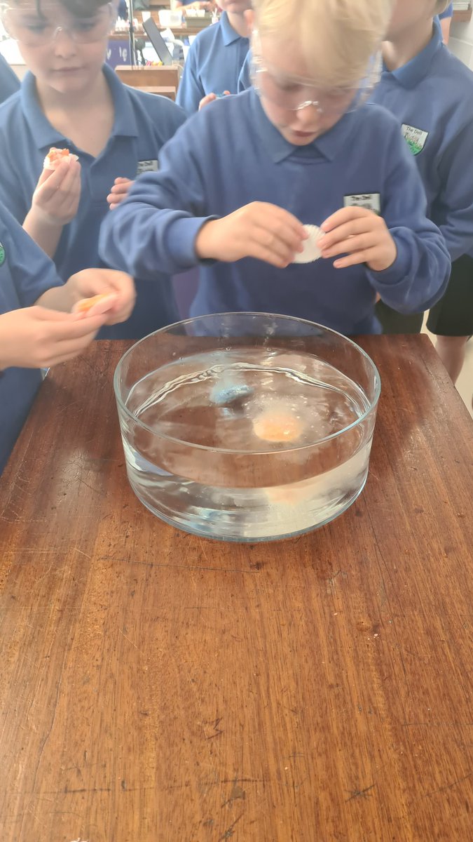ChepstowScience tweet picture