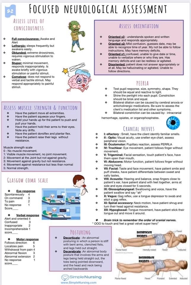 Look at this great primer on doing a great neuro exam.