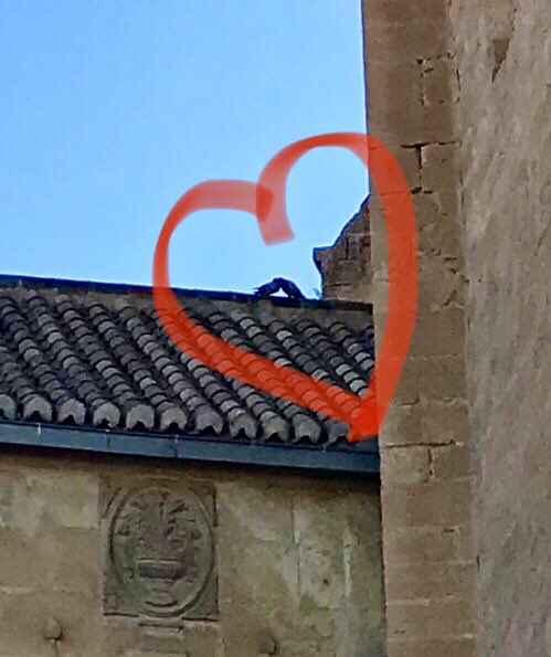 “Vanavond, kwart over acht, aan het pleintje achter de kerk?”
“Ja mijn duifke, tot straks.” 😘
❤️betrapt❤️
😊
#detweeduifkes <a href="/hildevanmieghem/">Hilde Van Mieghem</a>