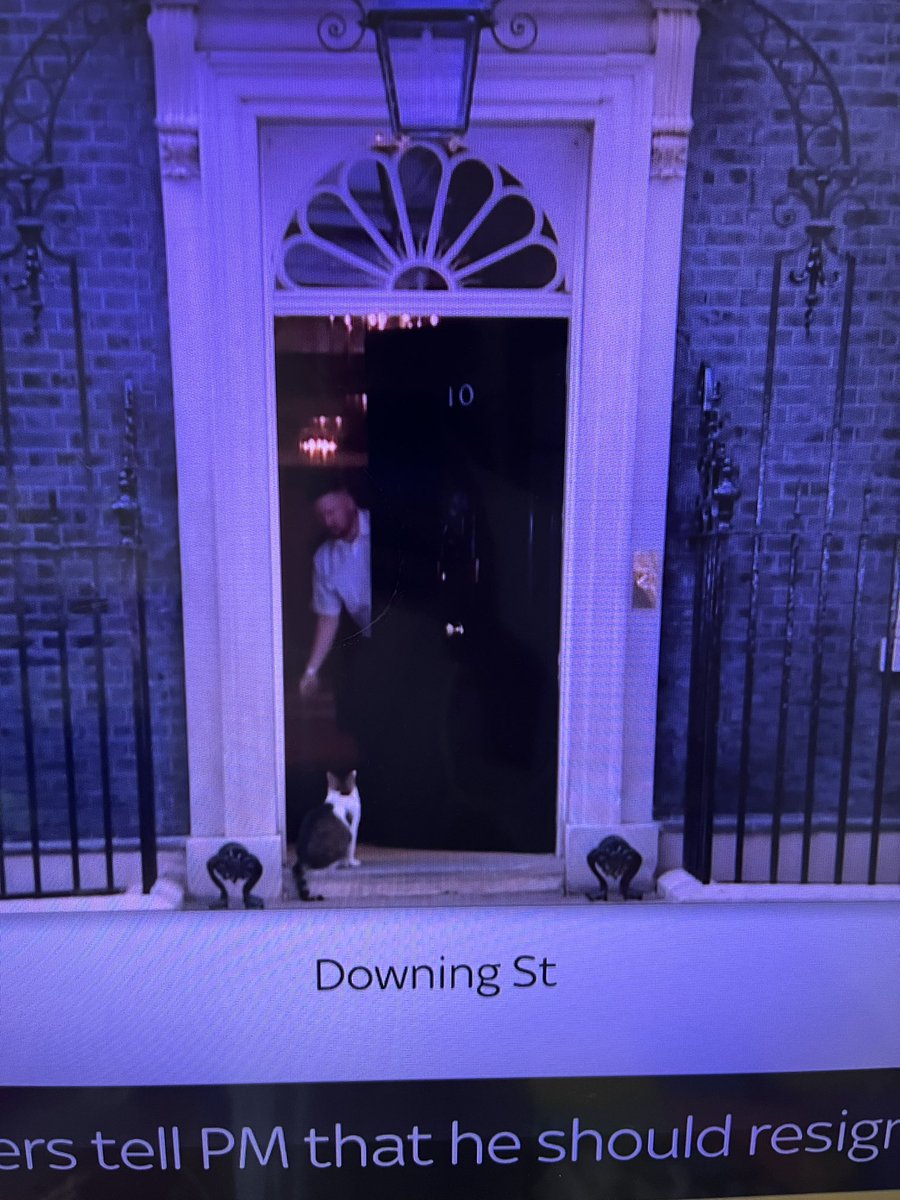 Even Larry the Cat thinks it’s too toxic to go inside #BorisOut