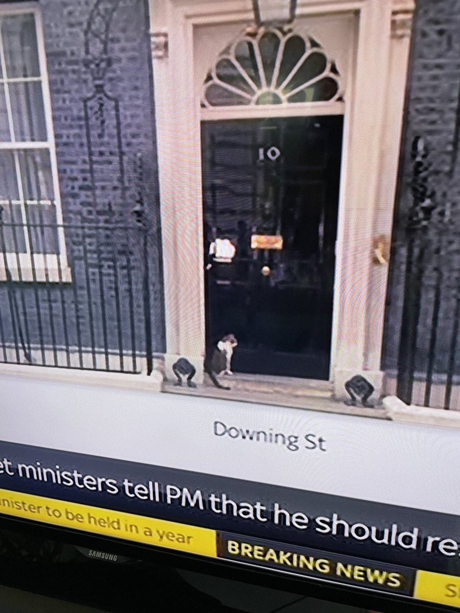Mafia Kiss (@mafiakiss) on Twitter photo EXCLUSIVE: Larry the Cat waiting to go into #Number10 to tell the #PrimeMinister he must go
<a href="/Number10cat/">Larry the Cat</a> EXCLUSIVE: Larry the Cat waiting to go into #Number10 to tell the #PrimeMinister he must go
<a href="/Number10cat/">Larry the Cat</a>