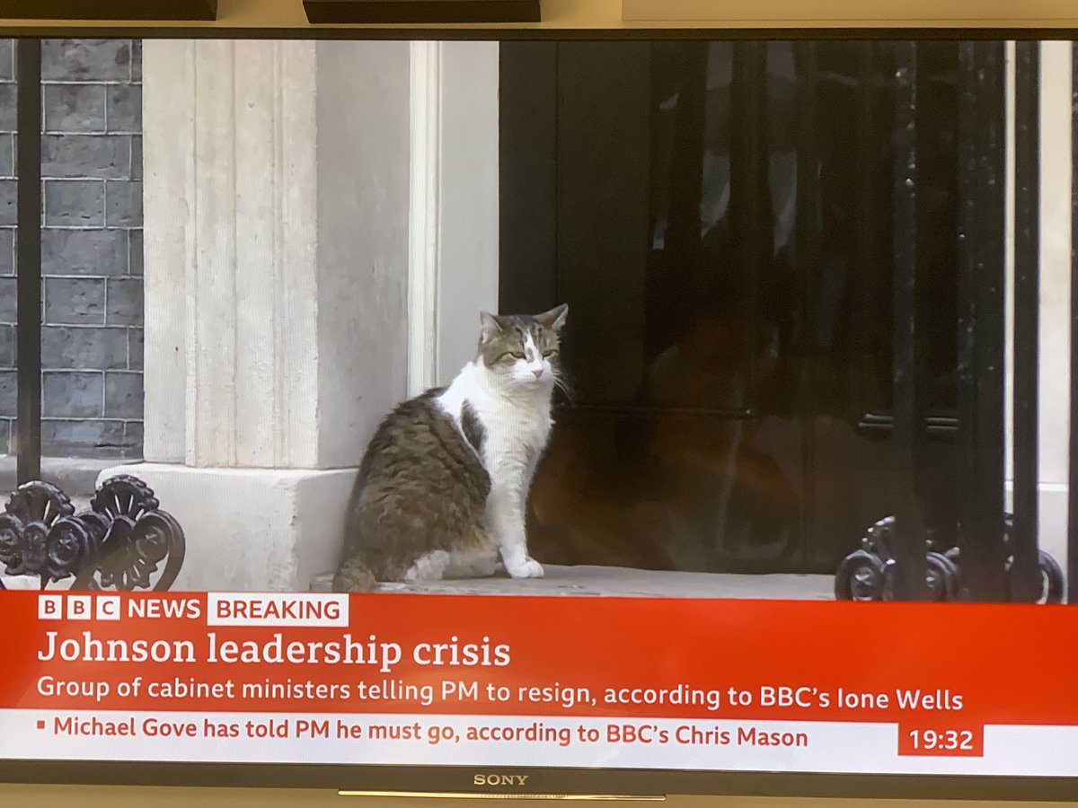 Time to start clawing at that door, <a href="/Number10cat/">Larry the Cat</a>