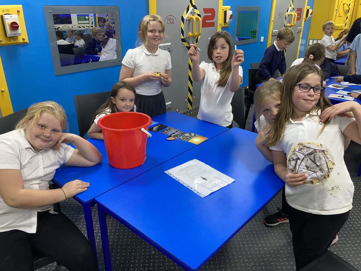 Mr_Smithson's tweet photo. Learning about penguins @TheDeepHull @Y4Spire @Y3Spire  @Spirejunior https://t.co/TF7ltgEZOX