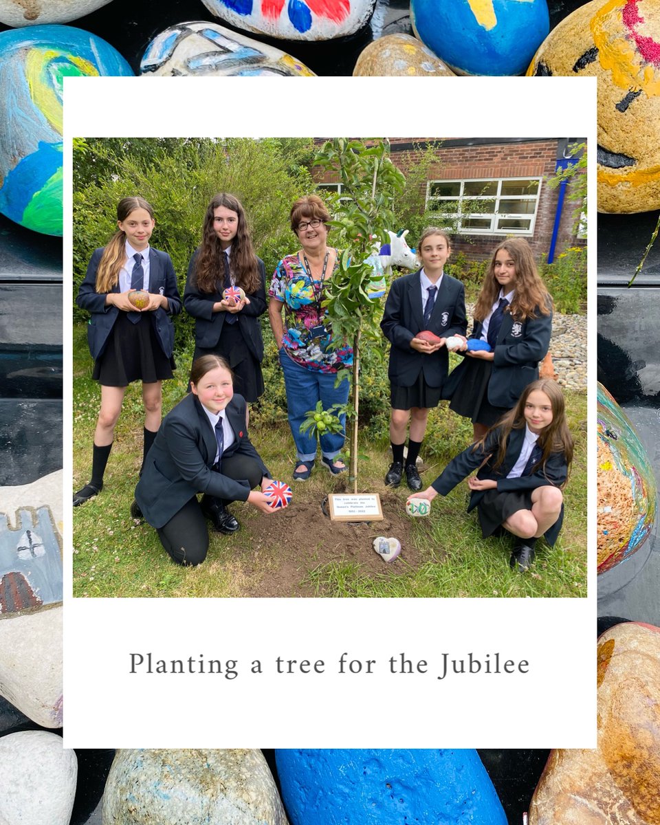 qphschester's tweet photo. It’s been a day of #Jubilee celebrations for Year 9 culminating in a special & memorable event for Mrs Irvine & her #BookLovingTuesday students. They’ve each brought their decorated pebbles to place around our newly planted tree in our #peacegarden #plantatreeforthejubilee https://t.co/Qqyob3pDVS