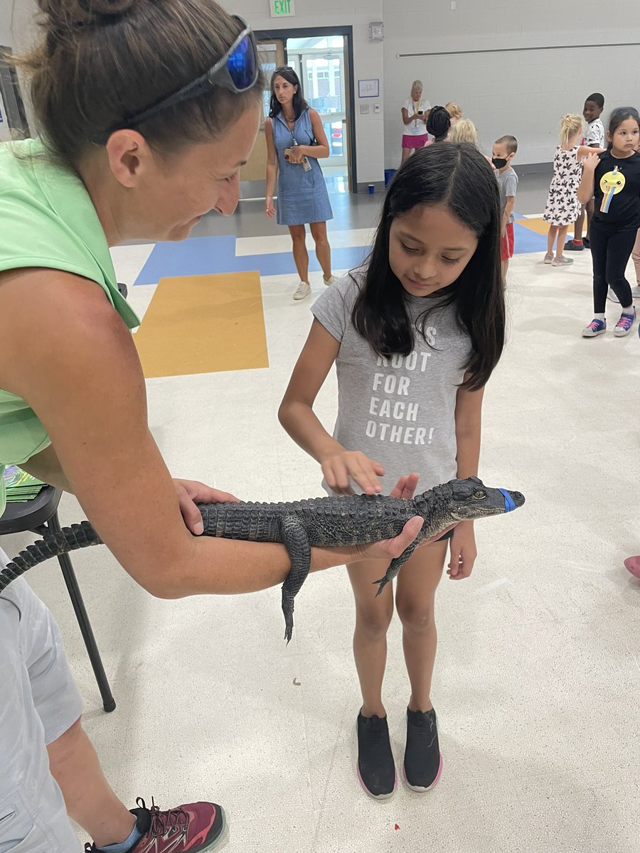 rfjeffcoat's tweet photo. Thank you Edisto Serpentarium for your visit to Owlventure!  We loved learning facts about our local snakes and more! @angeloakes https://t.co/4hHbquNDjT