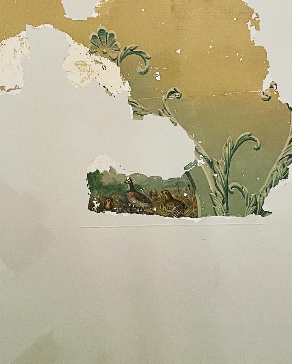 fontainehouse's tweet photo. Update: A surprise has been revealed during the ceiling restoration in the dining room!
#victorianmansion #victorianmuseum #victorianrestoration #ceilingmural #memphistn #visitmemphis https://t.co/3Fdo9psmTx