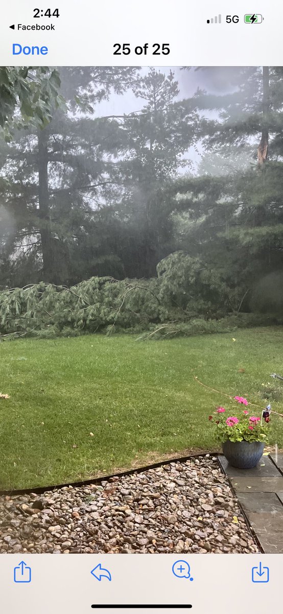 SallyThelen's tweet photo. Heavy rain and winds moving into the area bringing small tree down in Crescent Springs, KY. Be safe out there. https://t.co/64s15KyZyo