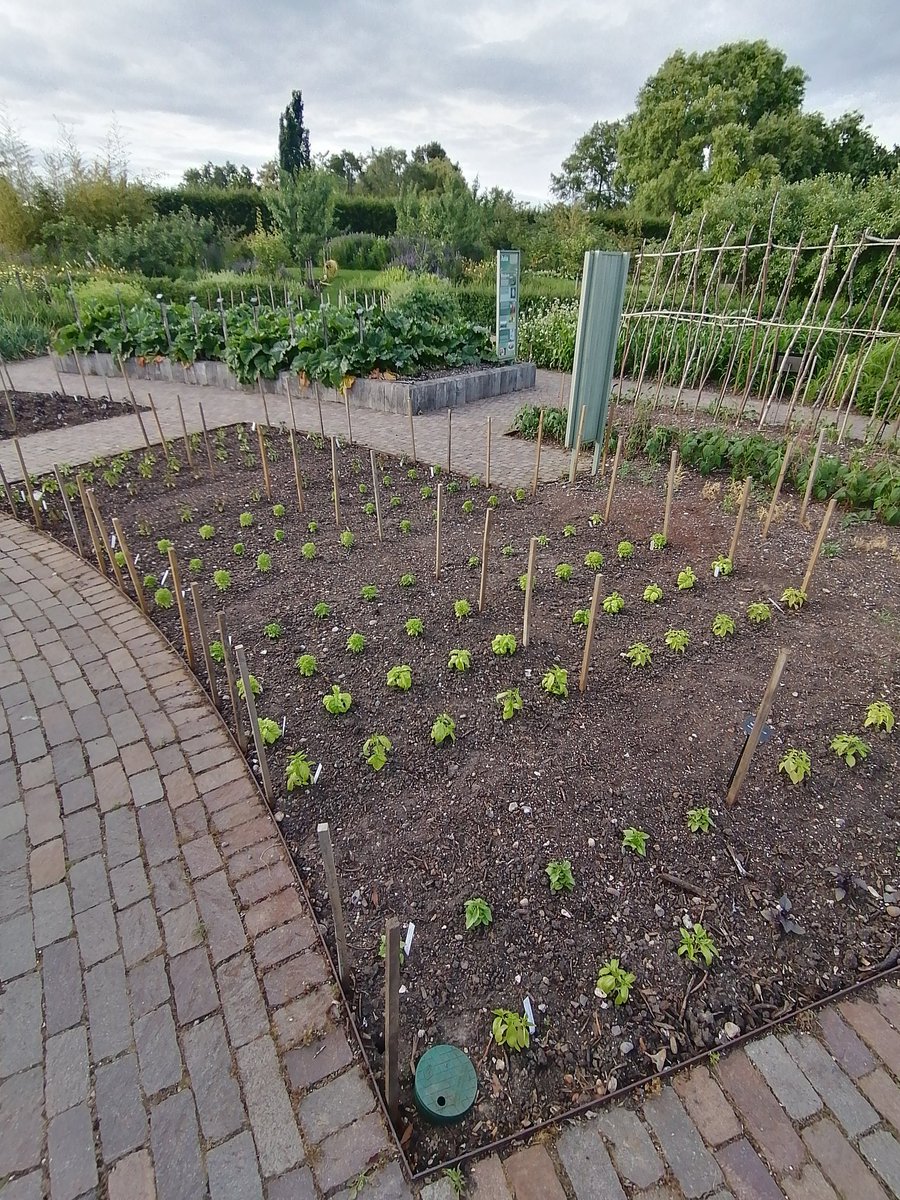 Matt Oliver tweet media