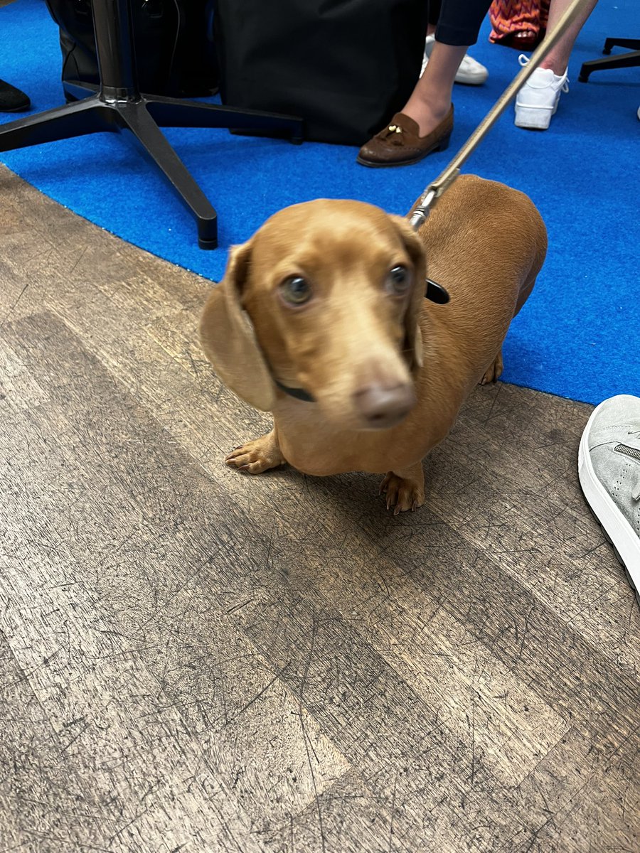 andrea steverding tweet media