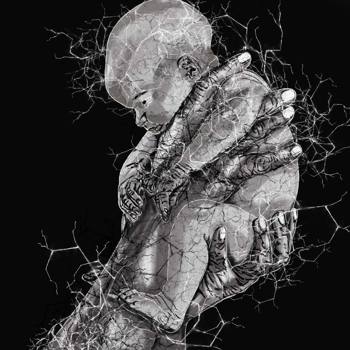 Malvaceae tweet media