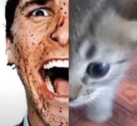 ShockingBite's tweet image. 