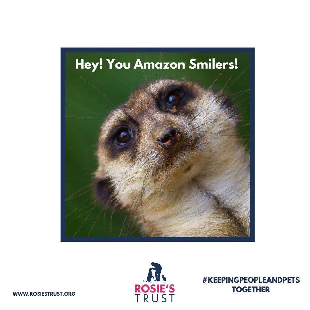 RosiesTrust's tweet photo. Heads up all you AmazonSmile shoppers!
On Prime Day -12th&13thJuly - you will generate DOUBLE donations for your chosen charity. Amazon will double donations on eligible purchases made with AmazonSmile on these dates.
Shop at https://t.co/BEIwVTH0y6 and select #RosiesTrust https://t.co/GZMLuZqjEh