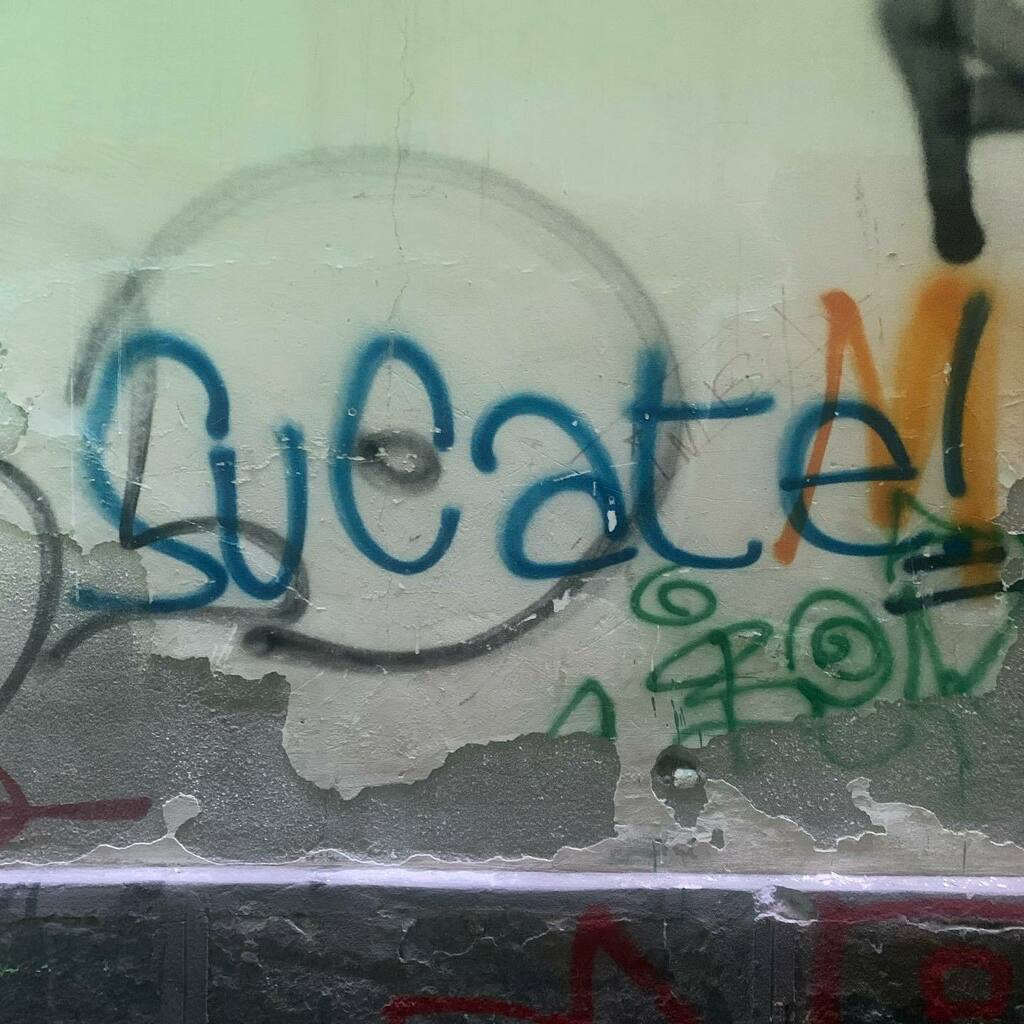 SUCA's tweet photo. Sucate (Vico Colalanza, Genova) 

#suca #sucate #800A #genova #perledeicaruggi https://t.co/S8A1TRc30w https://t.co/cRkZKy2fhV
