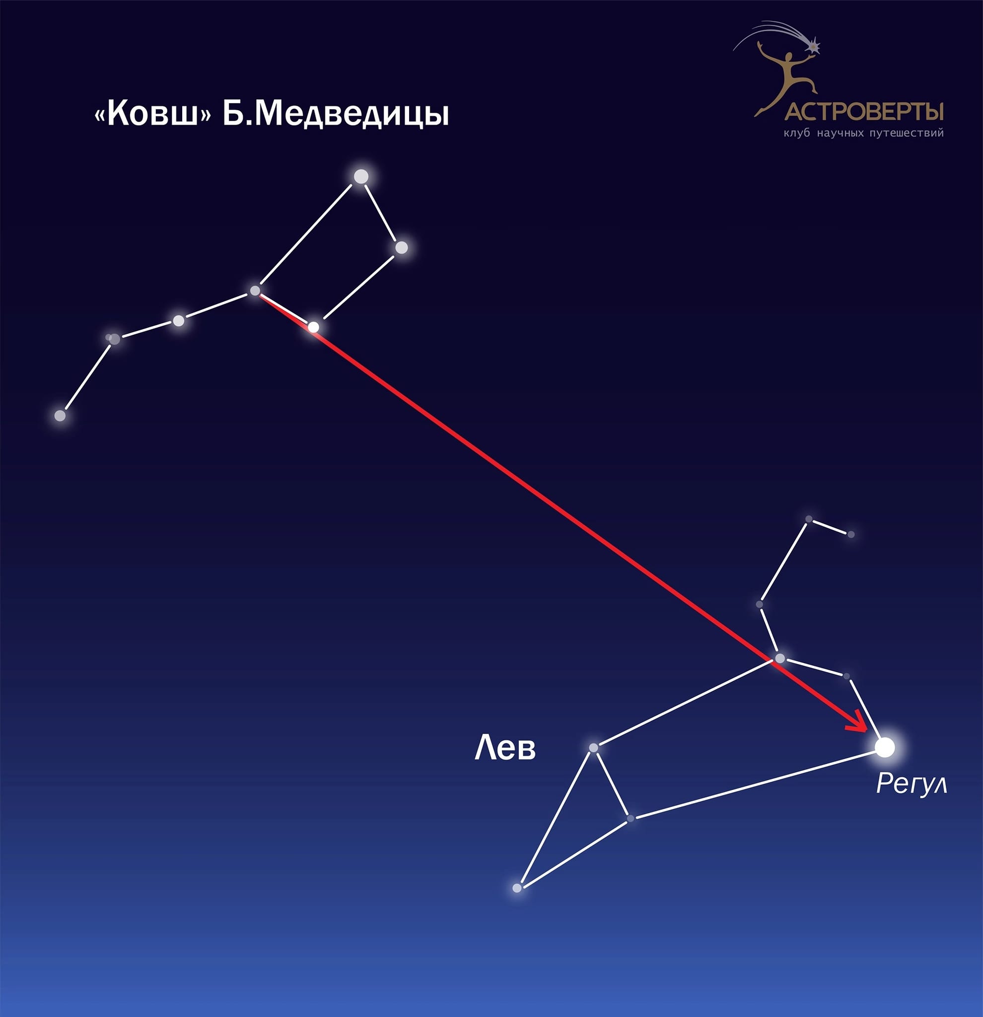 Большая Медведица ковш