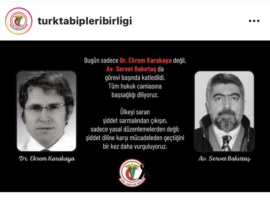 Yasemin Pipanlar🌸 (@ypipanlar) on Twitter photo 