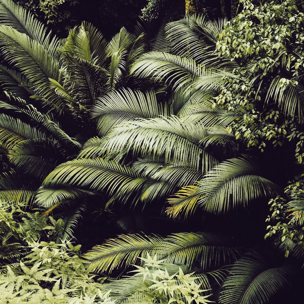 🌿 ЦЕПОЧКА ТВИТТЕРСКИХ 🌿

- читай меня (#взаимно);

- ретвить;

- читай ретвитнувших;

— ты молодец, у тебя все получится 💚

#цепочкатвиттерских #взаимныйфолловинг #взаимнаяподписка #цепочка #эстетика