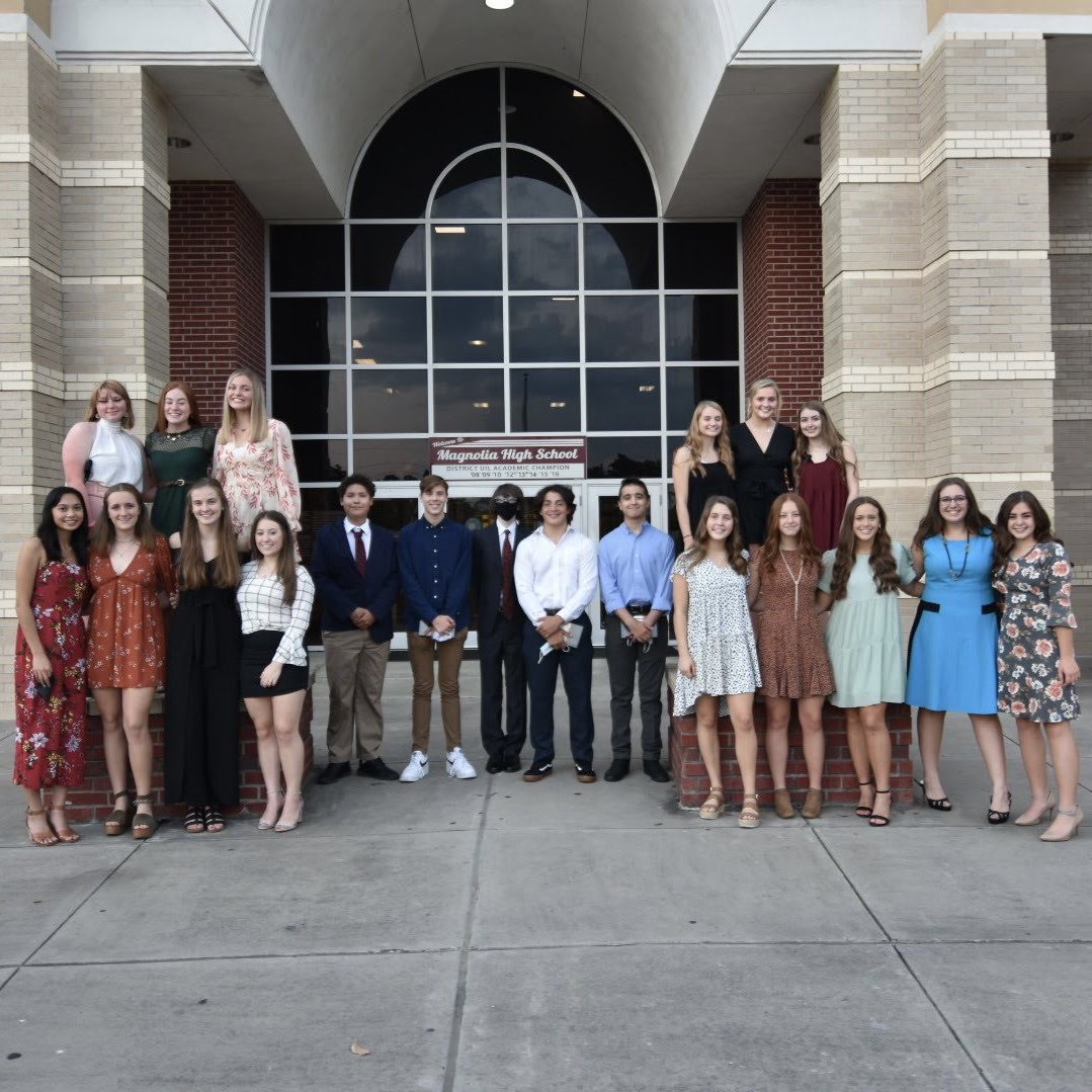 Magnolia IB tweet media