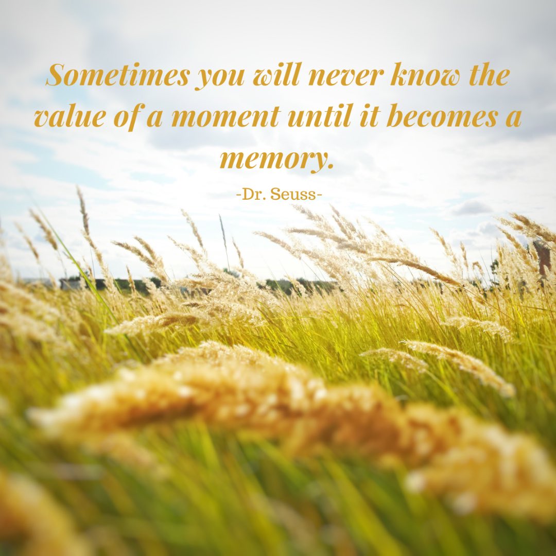 SoCalDreamTeam's tweet photo. This is your reminder to cherish each and every moment big or small.

#LittleMoments #Memories #MemoriesforLife #SpecialMoments https://t.co/YCc7oKzvpL