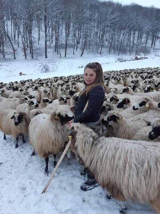 MojaSelo's tweet photo. Zasluzuje li postovanje ili ignorisanje .. https://t.co/cuSaJxWsmC