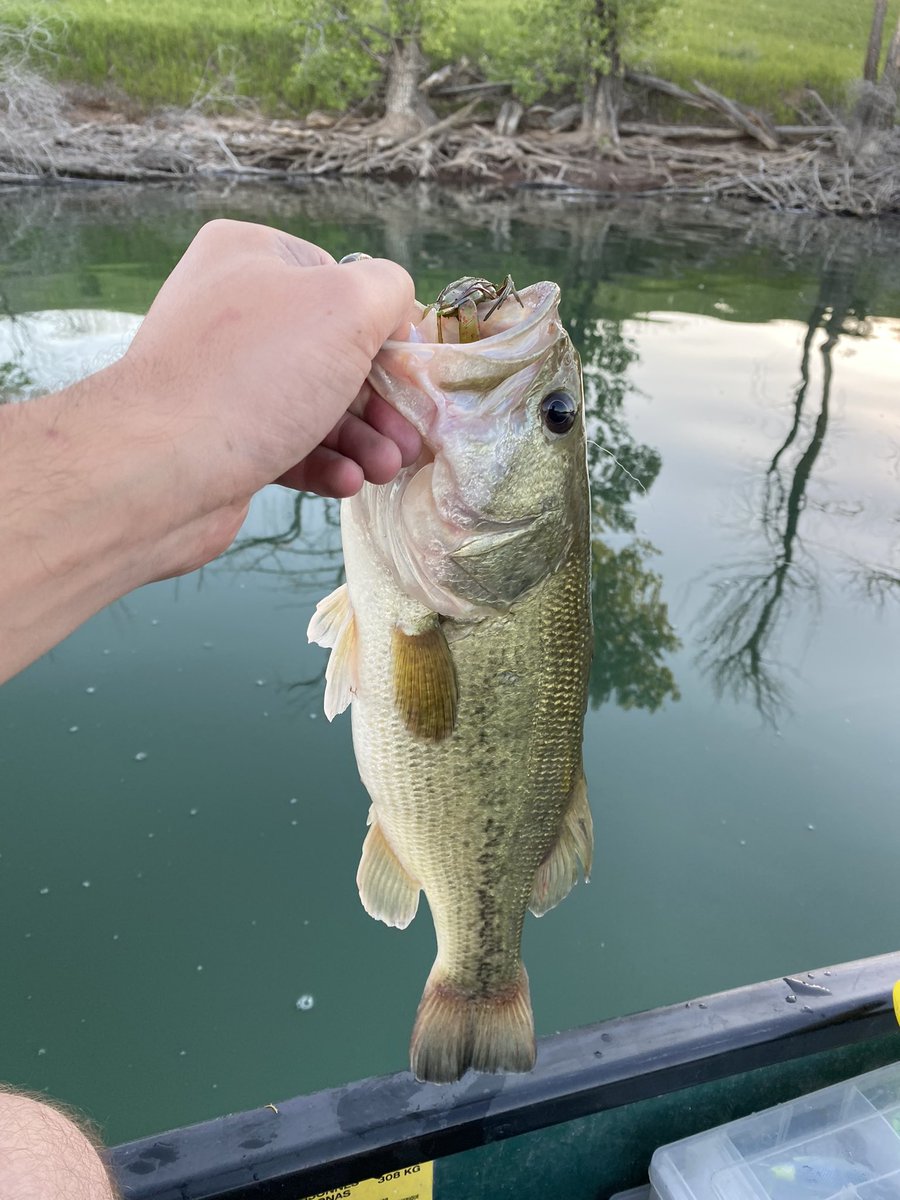 Caught my first jig fish yesterday!! Paired up with a crawdad!
blotterscustombaits.com