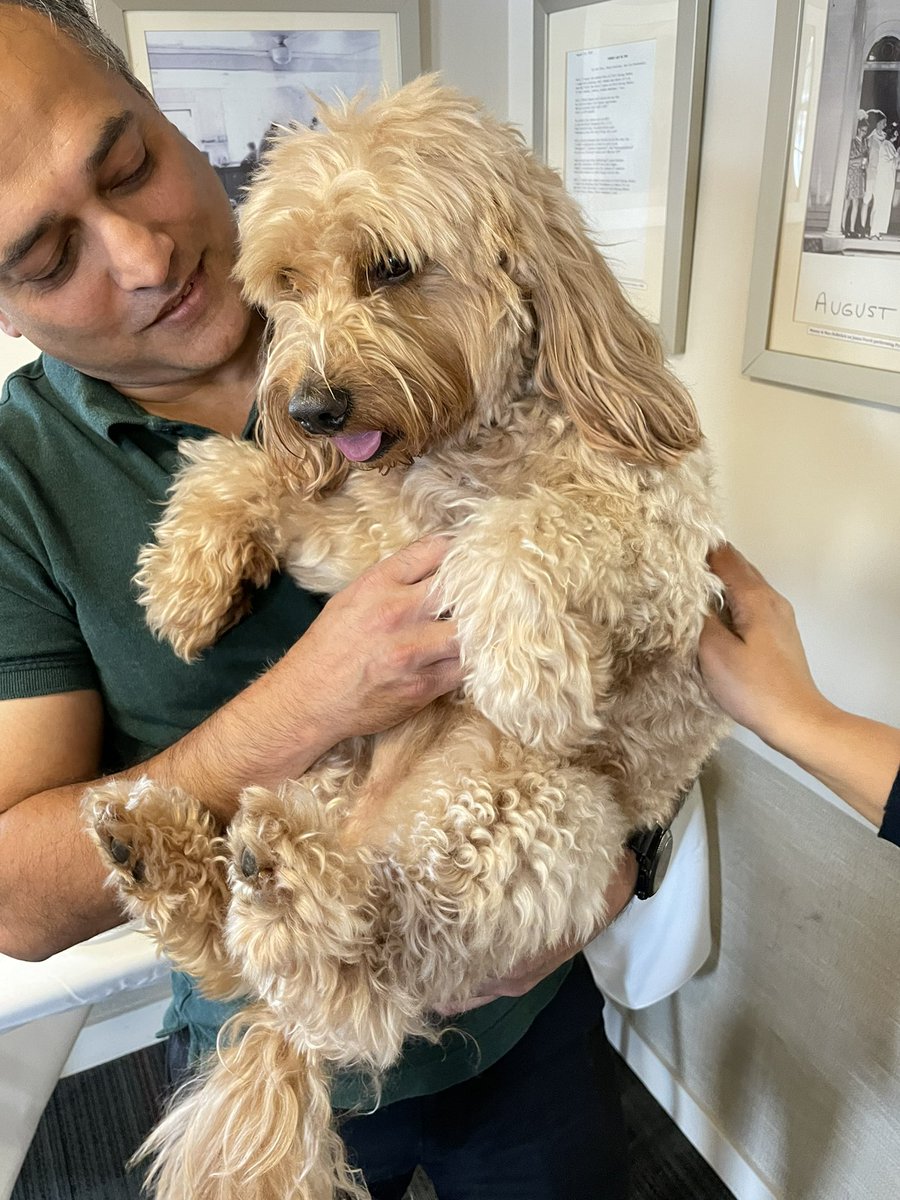 CSHL Plant Course tweet media