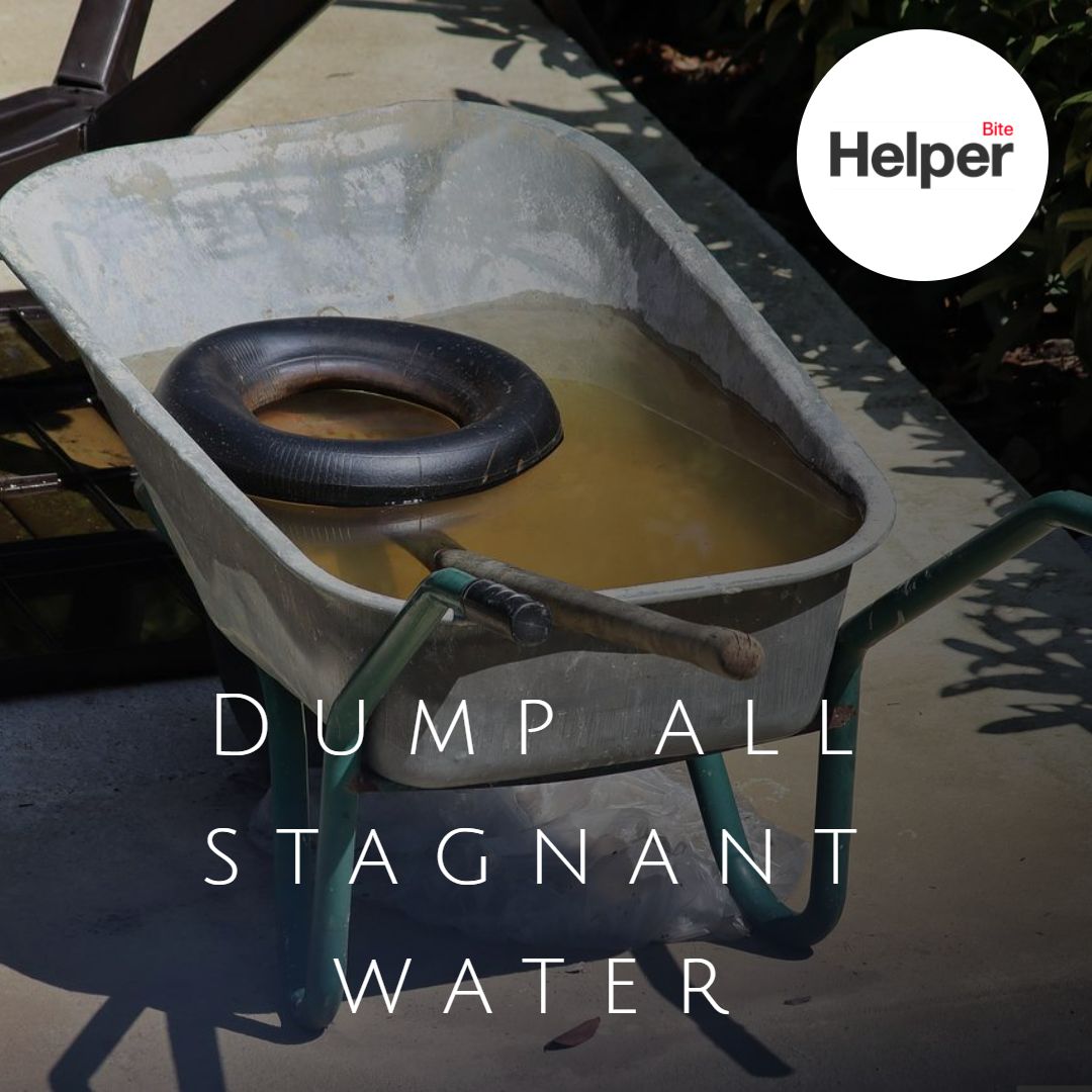 TheBiteHelper's tweet image. Remove stagnant water on your property to prevent mosquitoes from finding their new home near you.
No Standing Water = No Mosquitoes.
#mosquitoes #mosquitoprevention #tips #prevention #bitehelper #ditchtheitch #bugs #new #technology #itch #irritation