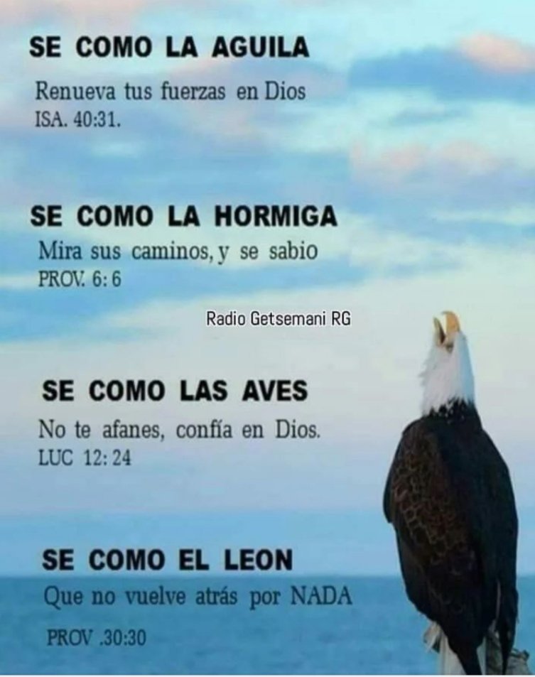 pattyflores_py's tweet photo. Bendecida tarde♥ https://t.co/Q1e5KdjWqT