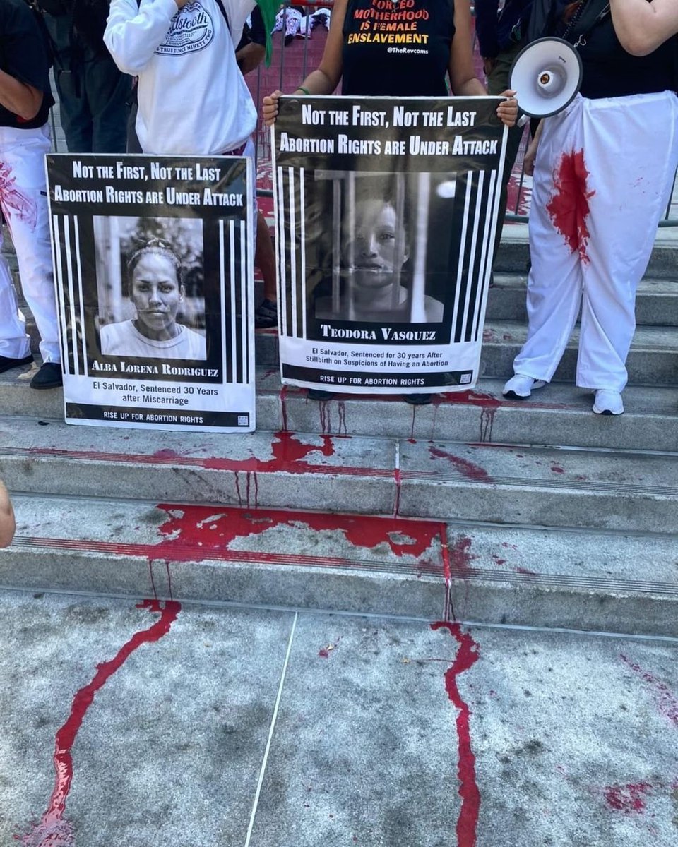 riseup4abortion tweet picture