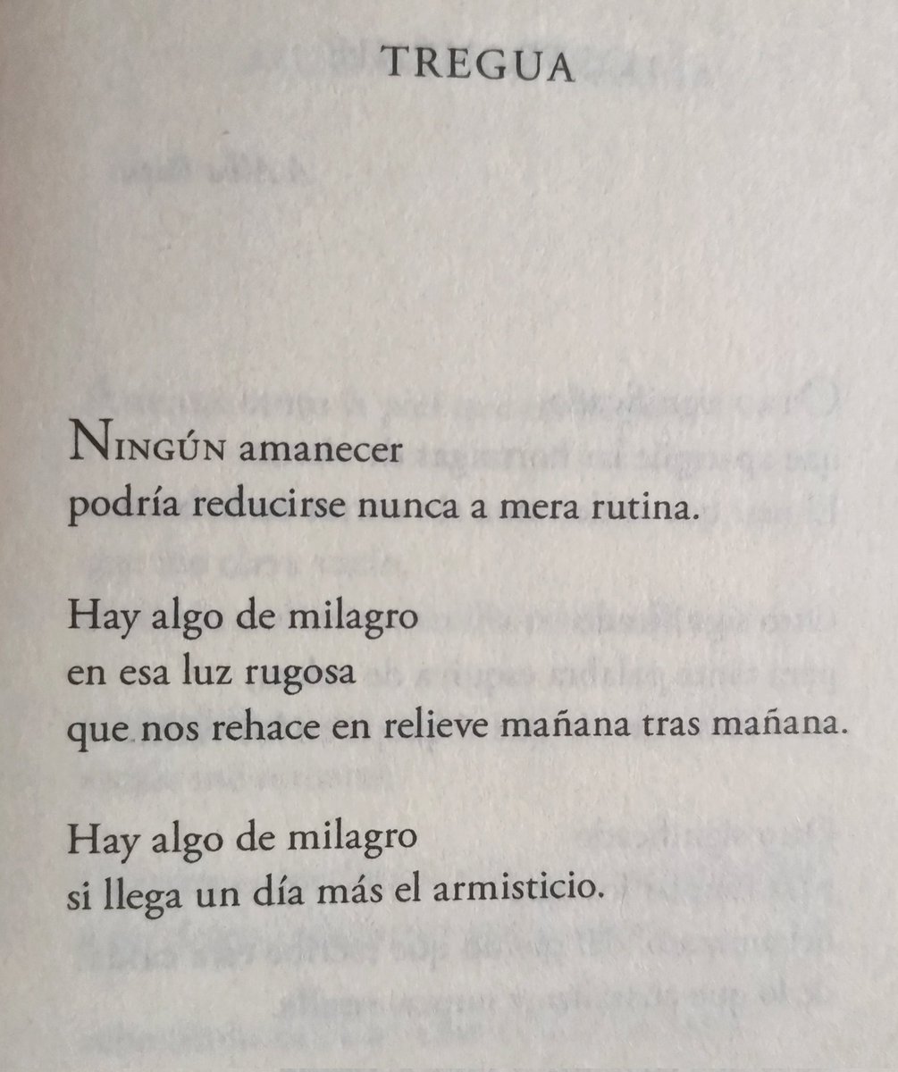 arriarte's tweet photo. Hoy cumple años nuestra querida @raquelvqz. Muchas felicidades, poeta

(Tregua, un poema de 'Lenguaje ensamblador') https://t.co/ZcZ1WgFehp