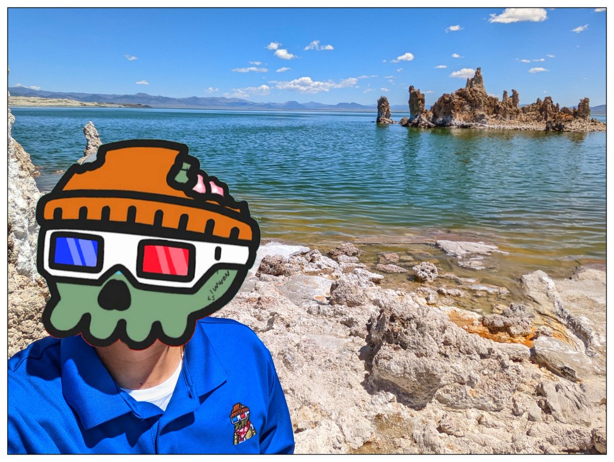 I call this one 'Morie at Mono Lake.' #FaMorie #TeacherSummer @CryptoMories