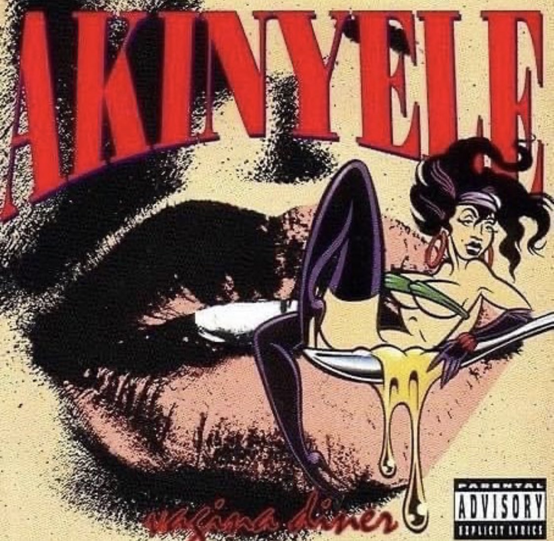 GrownUpRap's tweet image. Rap History: Akinyele - ‘Vagina Diner’, released July 6, 1993. #akinyele #largepro