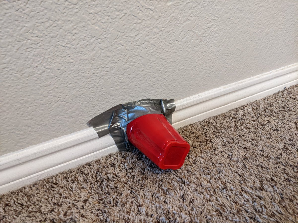 saw a spider in the wall