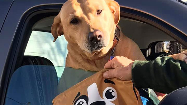 AgentOwlyy's tweet photo. For four-legged friends, an emergency can get off to a rough start. Here's how to prepare.

https://t.co/pFUWp4JTeg https://t.co/3ZIXgT9M9f