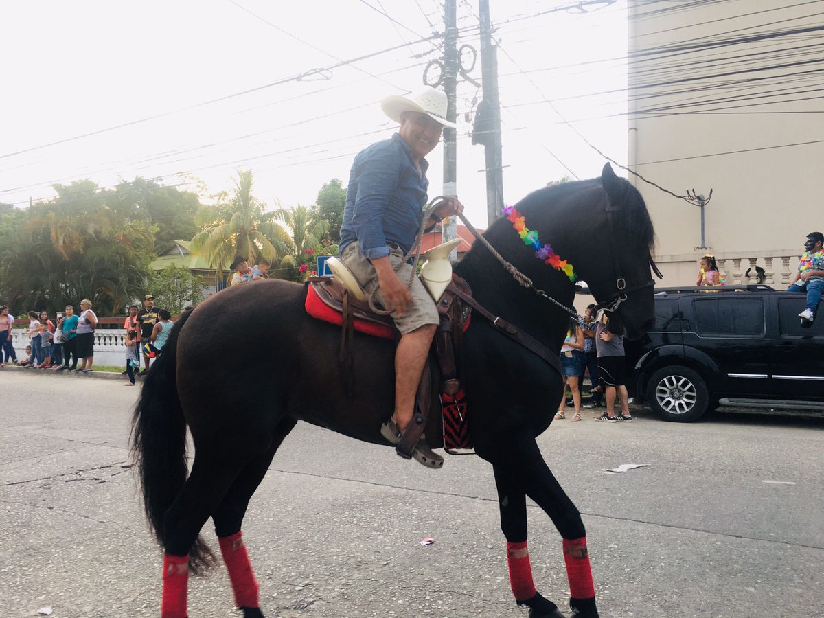 EdilbertoAndin1's tweet photo. Um buen caballo. Vale la pena https://t.co/gqaBTMM3Jq