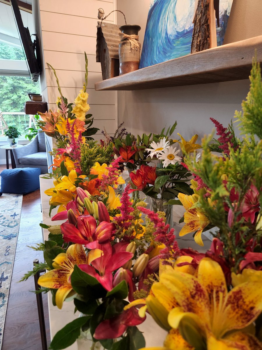 Kensey Schultz tweet media